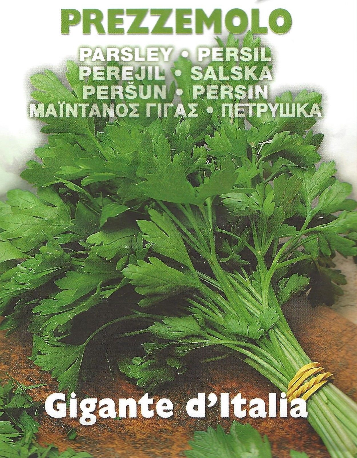 ITALIAN PARSLEY ITALIAN GIANT Pictorial Packet Premier Seeds