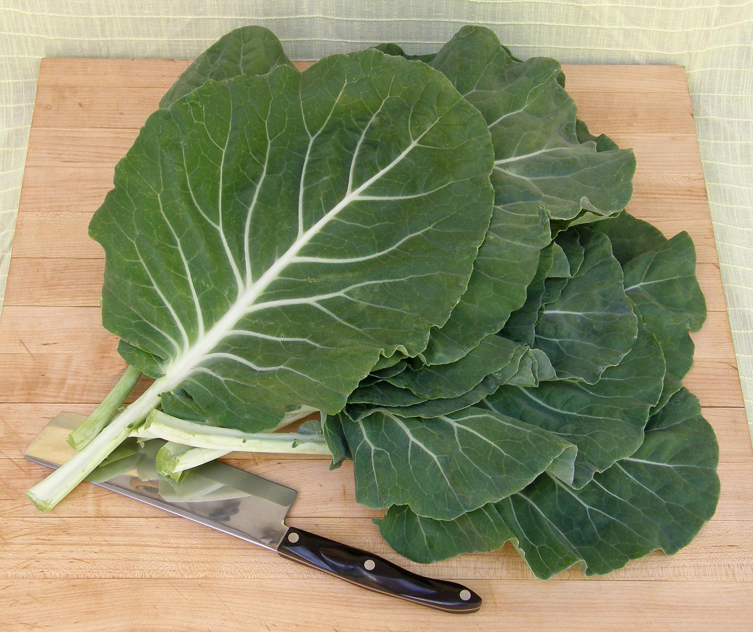 Kale Borecole Portugese Vegetables Kale Premier Seeds Direct Ltd.