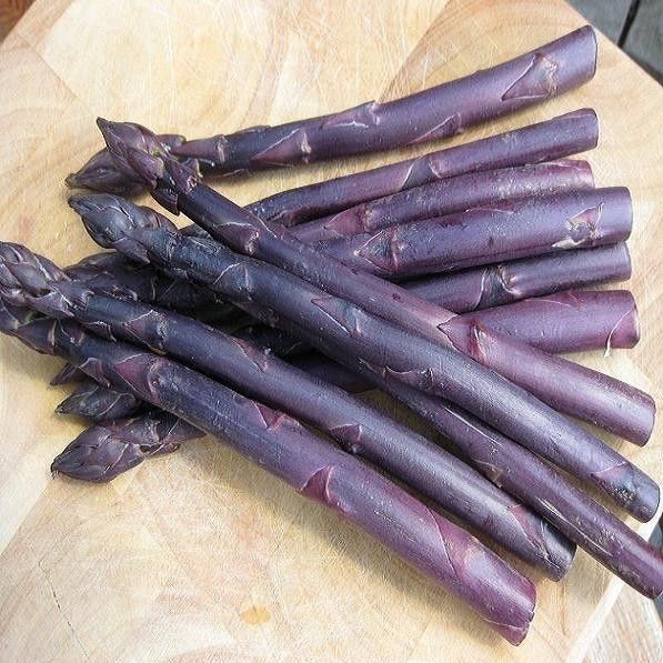Asparagus Sweet Purple Asparagus Premier Seeds Direct ltd