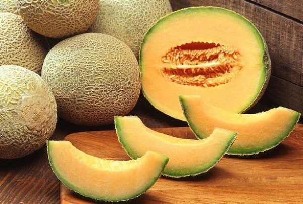 Melon Cantaloupe Hearts of Gold Organic