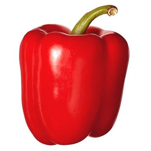 Sweet Pepper Big Red Premier Seeds Direct