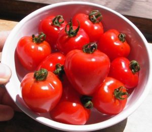 Tomato Tomatoberry F1
