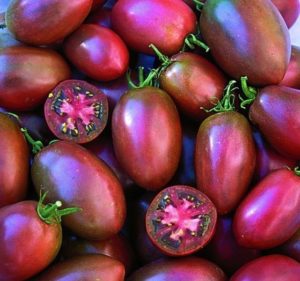 Tomato Ukranian Purple