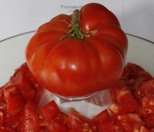 Italian Tomato Pantano Romanesco