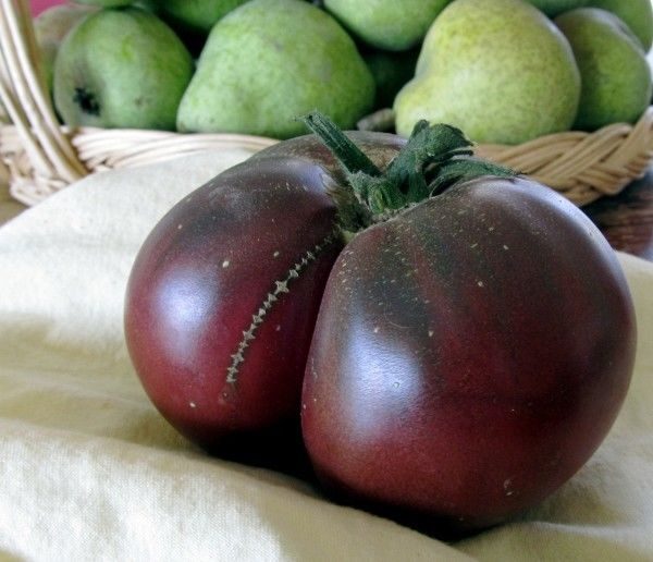 Tomato Brandywine Black Organic