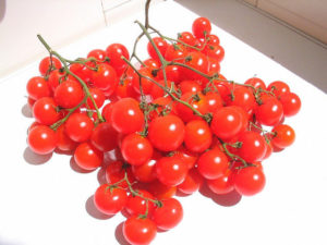 Tomato Riesentraube Cherry Organic