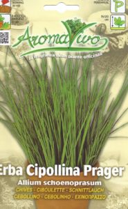 Herb Chives Pictorial Packet