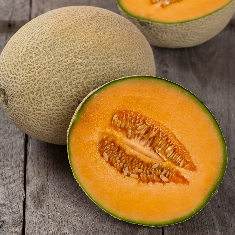 melon cantaloupe hales best jumbo melon premier seeds direct ltd