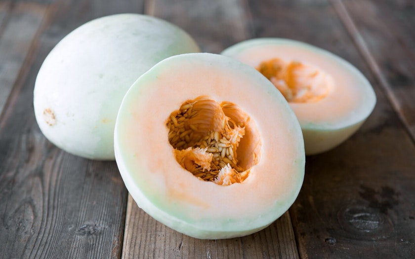Melon Honeydew Orange Flesh Temptation Premier Seeds Direct