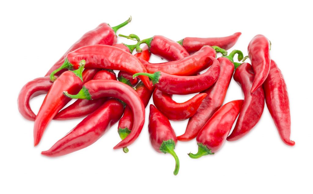 pepper hot cayenne thick Premier Seeds Direct