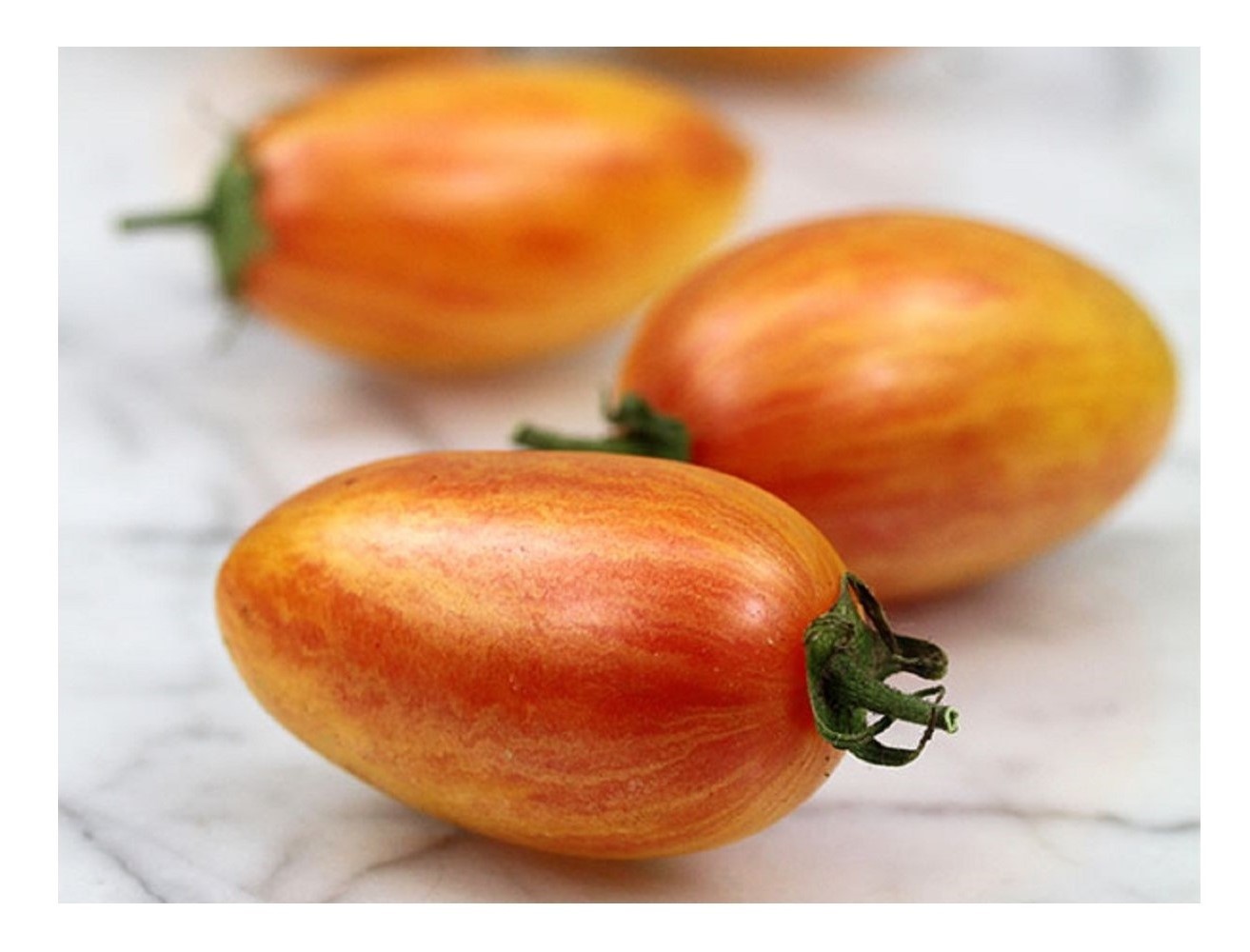 Tomato Cherry Artisan Blush Tiger Tomato Premier Seeds Direct ltd