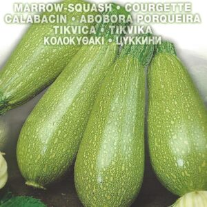 ' COURGETTE - BOLOGNESE - 5.0 GRAM - APPROX 38 SEEDS '