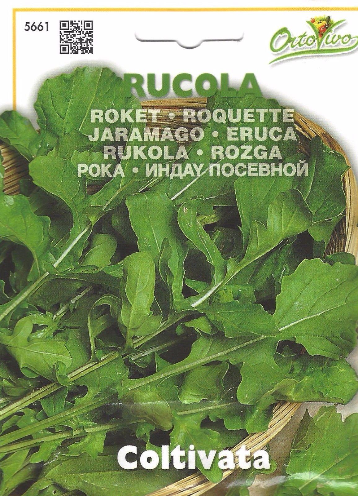 HPP VEGETABLE ROCKET CULTIVATED Pictorial Packets Premier Seeds