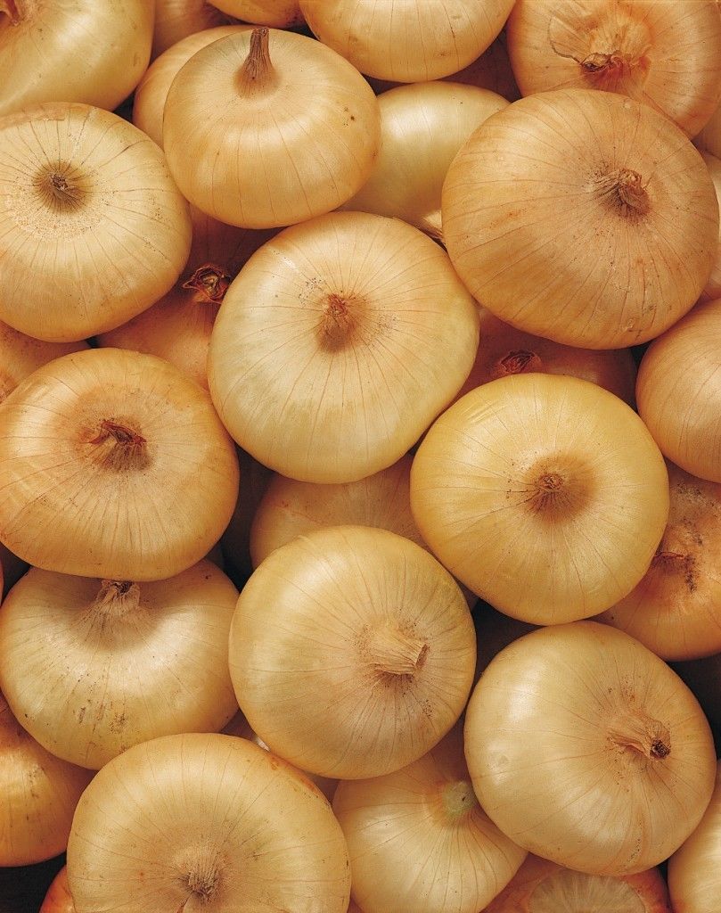 ONION ITALIAN FLAT BORETTANA Onion Premier Seeds Direct ltd