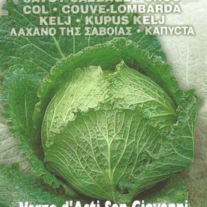 Pictorial Packet CABBAGE SAVOY ASTI SAN GIOVANNI