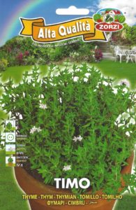 Pictorial Packet HERB THYME