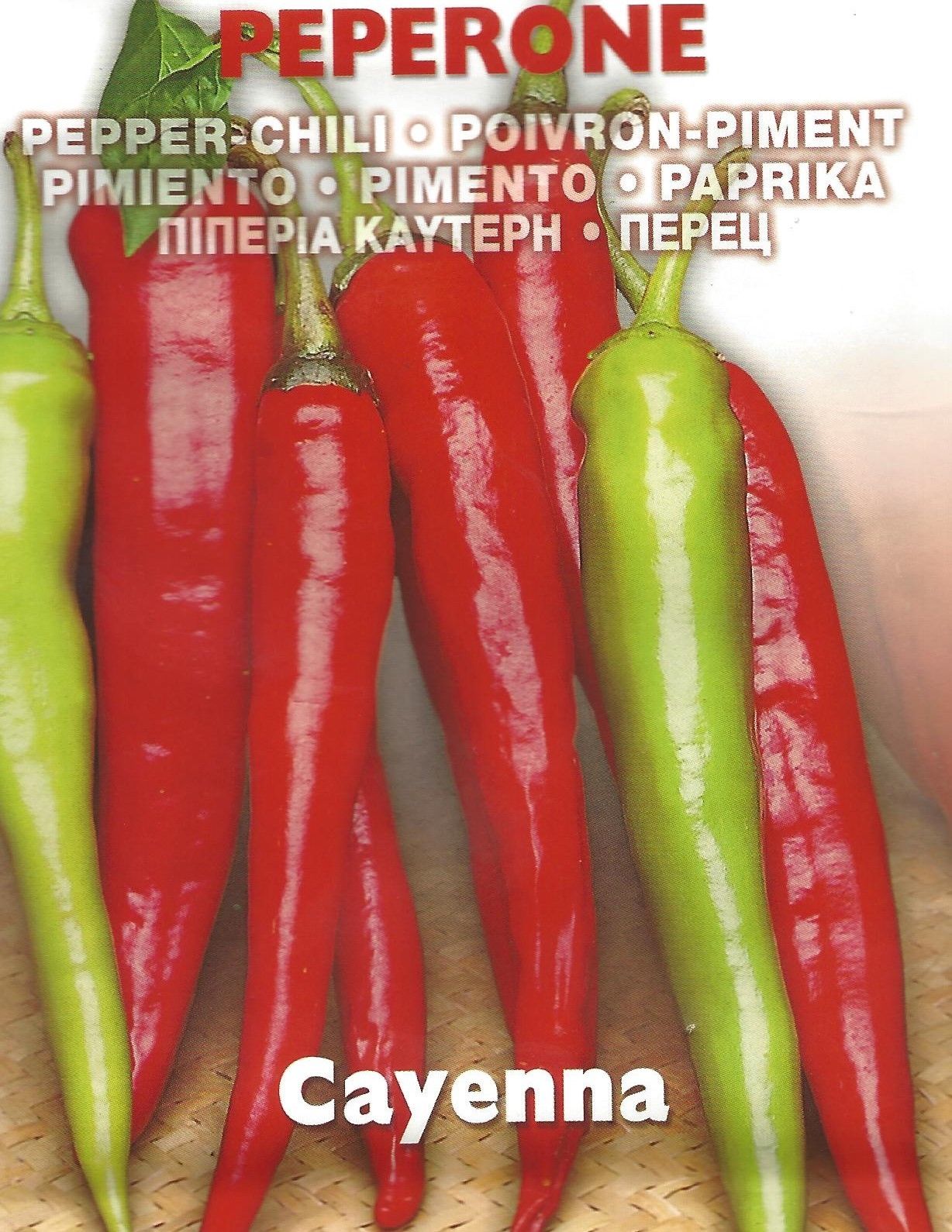 Pictorial Packet PEPPER HOT CAYENNE Pictorial Packet Premier Seeds