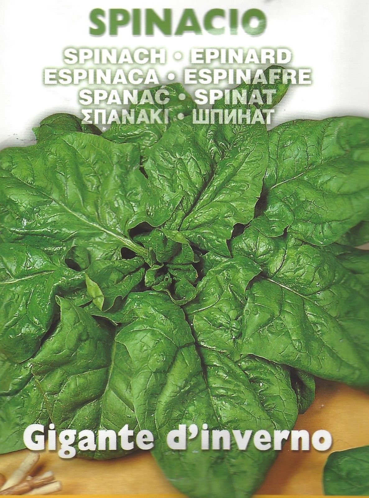 SPINACH GIGANTE INVERNO Pictorial Packet Premier Seeds Direct ltd