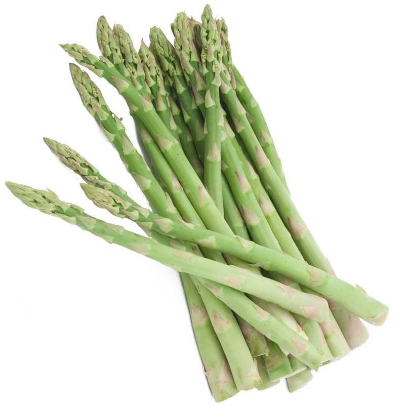 Asparagus Uc 72 Premier Seeds Direct