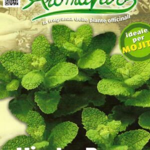 MINT - ROUND LEAVED - 0.1 GRAM APPROX 1250 SEEDS - PICTORIAL PACKET