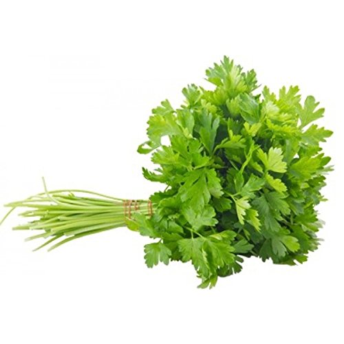 25,000 SEEDS HERB  PARSLEY PLAIN LEAVED CERTIFIED ORGANIC BULK FRENCH 