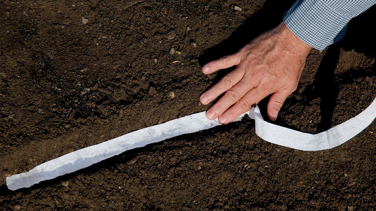 Carrot Resistafly F1 Seed Tape 6M (3X2M) Approx 540 Seeds Premier