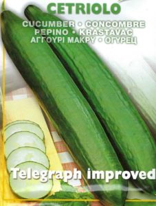 CUCUMBER TELEGRAPH IMPROVED - 2 GRAM ~ APPROX 100 SEEDS - PICTORIAL PACKET